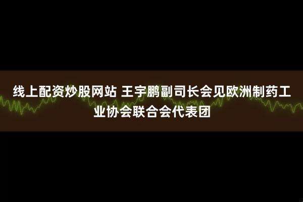 线上配资炒股网站 王宇鹏副司长会见欧洲制药工业协会联合会代表团